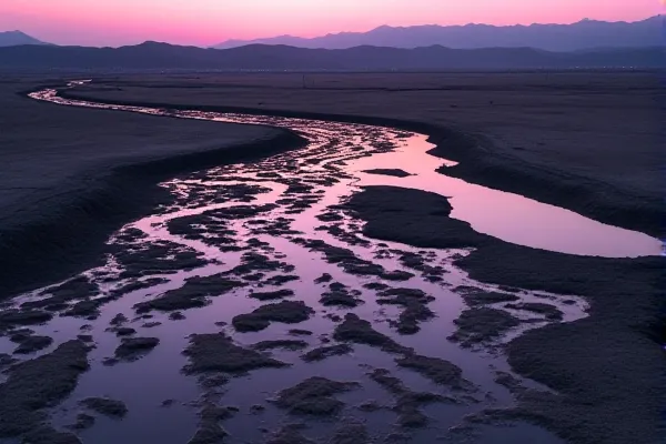 Textured desert floor in Anza-Borrego, San Diego, representing the durable administrative framework of a trust-based incapacity plan.